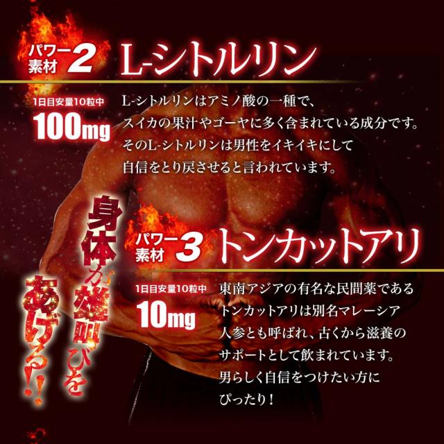 エキサイトパワーMAX 150粒×48個セット 約720〜1200日分 送料無料 宅配便 | マカ maka シトルリン トンカットアリ すっぽん にんにく 亜鉛 精力剤 などの 薬 が 不安な方に サプリ サプリメント 男性 女性 マカサプリメント マカサプリ 赤まむし まとめ買い