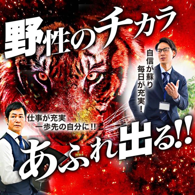エキサイトパワーMAX 150粒×48個セット 約720〜1200日分 送料無料 宅配便 | マカ maka シトルリン トンカットアリ すっぽん にんにく 亜鉛 精力剤 などの 薬 が 不安な方に サプリ サプリメント 男性 女性 マカサプリメント マカサプリ 赤まむし まとめ買い