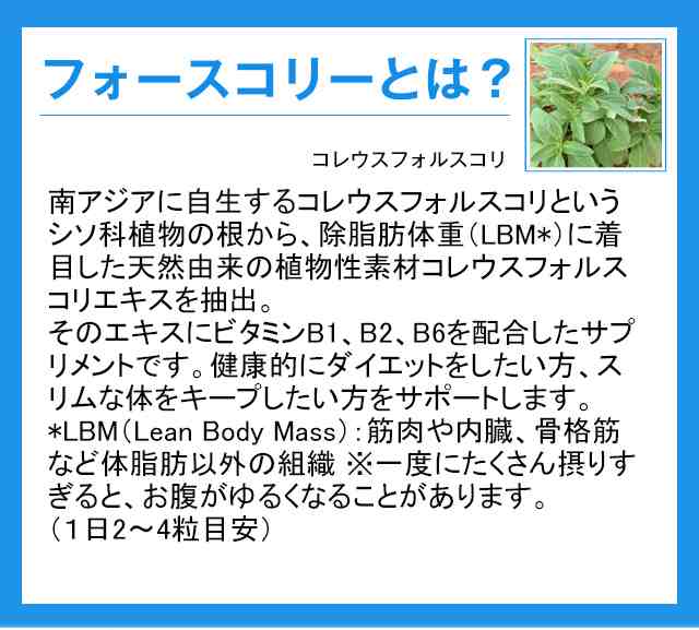 市場 DHC サプリメント タブレット ランキング 30日分 フォースコリーソフトカプセル 人気 送料無料 健康食品 ダイエット