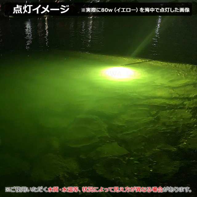 LED 水中集魚灯 LED集魚灯 水中ライト 水中灯 12V用 集魚ライト