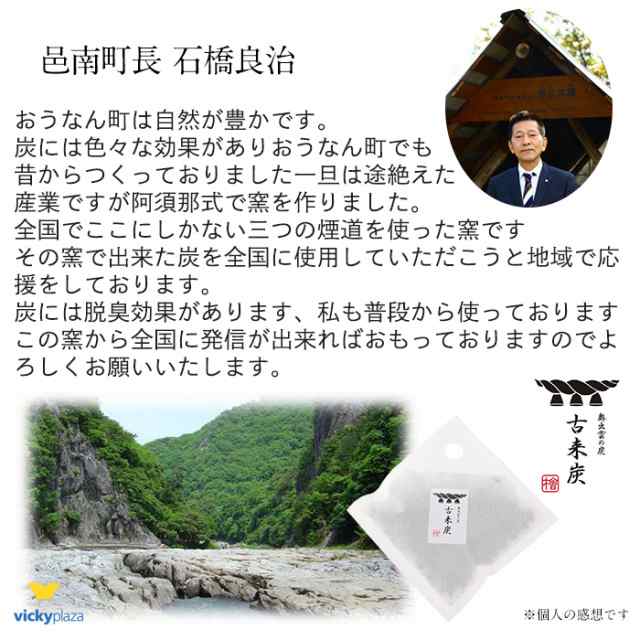 炭 古来炭 奥出雲 国産 ヒノキ ひのき 炭 30g 6袋 すみ 湿気 消臭 脱臭 調湿 除湿 繰り返し使える タンス クローゼット 押入れ 靴箱  車内の通販はau PAY マーケット - VickyPlaza