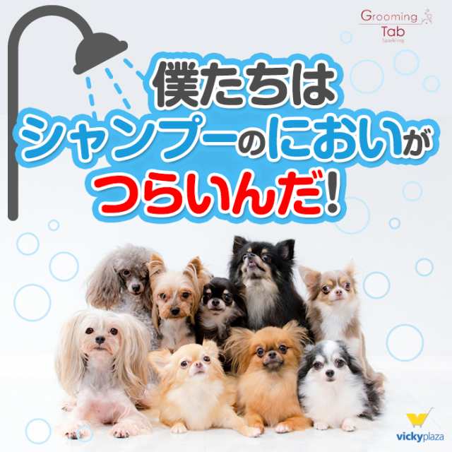 ペット用 入浴剤 グルーミングタブ 10錠 お試し 重炭酸入浴剤 薬用 ホットタブ 犬 猫 国産 イオンケア メール便 送料無料 ポイント消化の通販はau Pay マーケット Vickyplaza