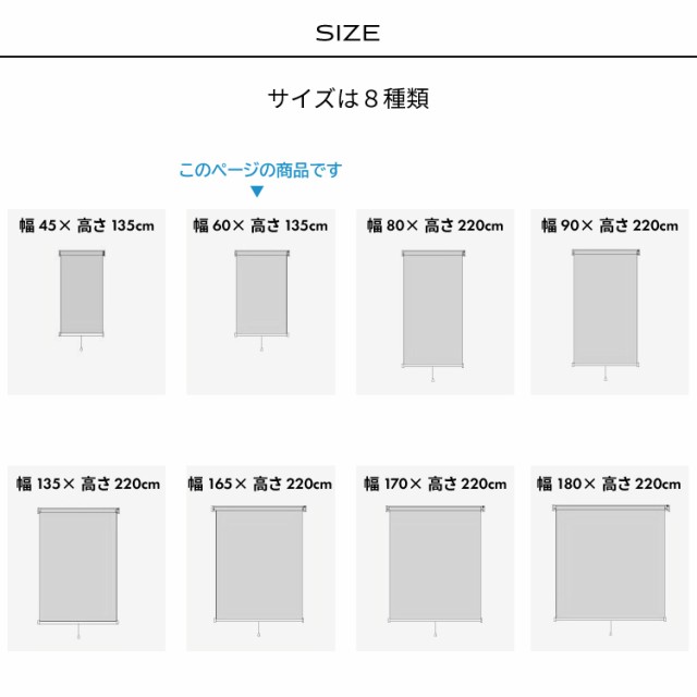 カバー付きロールスクリーン エクシヴ遮光 60cm×135cm ブラインド