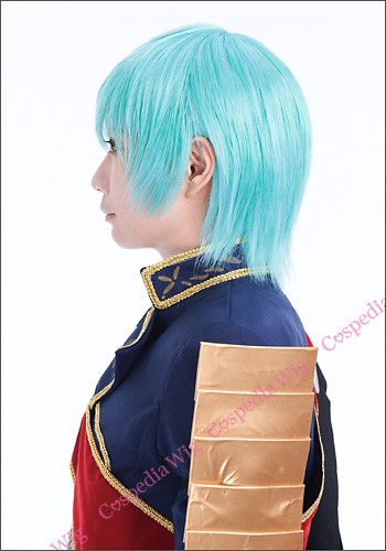 刀剣乱舞 一期一振 風 ウィッグ キャラウィッグ コスプレ