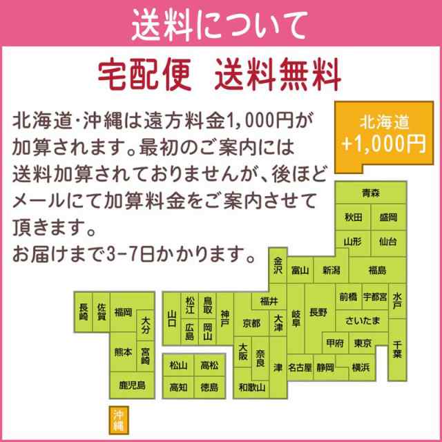 母の日 プレゼント ギフト 早割 カーネーション ベア クマセット 誕生日プレゼント 60代 50代 40代 30代 フラワーギフト 母の日限定の通販はau Pay マーケット パールパティ