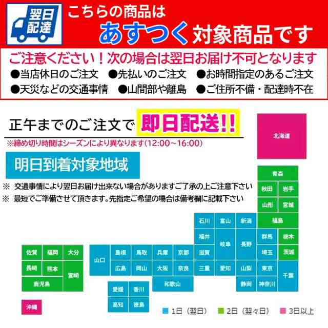 14時まで当日発送】母の日 プレゼント ギフト 花 早割 カーネーション