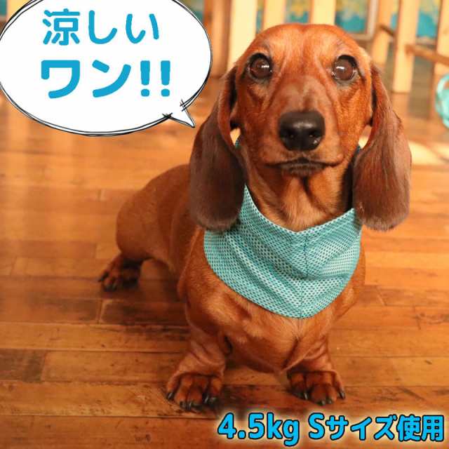 犬 冷却タオル クールタオル 散歩用 冷感 ひんやり 熱中症対策グッズ 冷感 速乾 冷却 クールバンダナ ペット涼感 首輪 冷え冷え ひんやりの通販はau Pay マーケット パールパティ