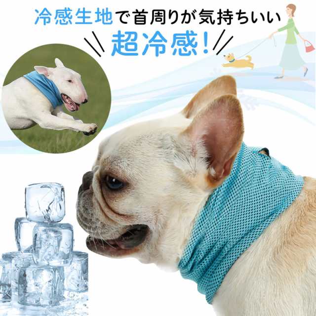 供給 終了する 俳優 犬 クール グッズ Swlegalnurse Net