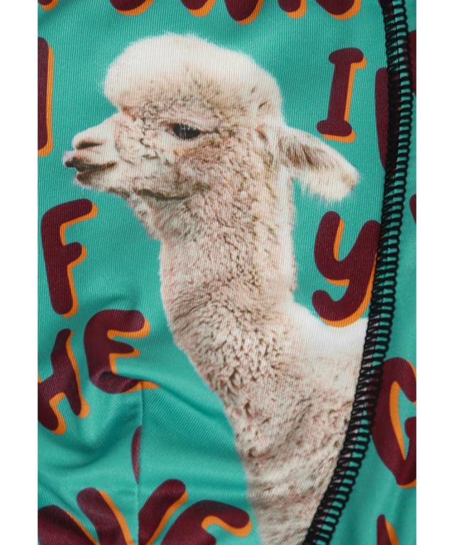 フィークス Ficus ボクサーパンツ メンズ アンダーウェア おしゃれ かわいい ツルツル アルパカ アニマル柄 動物 ワンポイント ブランド の通販はau Pay マーケット かっこいい おしゃれ下着ならクレイジーフェレット Au Pay マーケット店