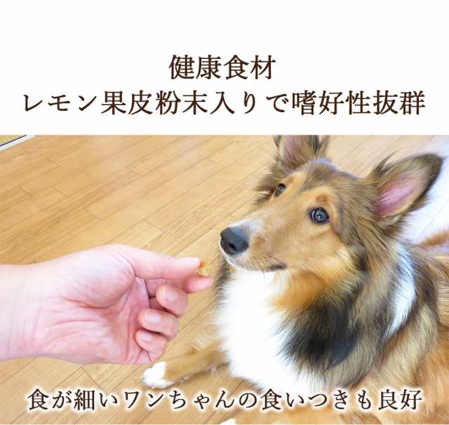 犬 体臭 口臭 ダイエット 犬用 サプリメント 送料無料 ドッグフード お試しセット 犬用 おやつ サプリメント フラボノキューブ 100g 10袋の通販はau Pay マーケット ドリームリアライズ