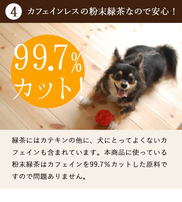 犬 体臭 口臭 ダイエット 犬用 サプリメント 送料無料 ドッグフード 犬用おやつ カテキンキューブ 100g 10袋セット 国産の通販はau Pay マーケット ドリームリアライズ