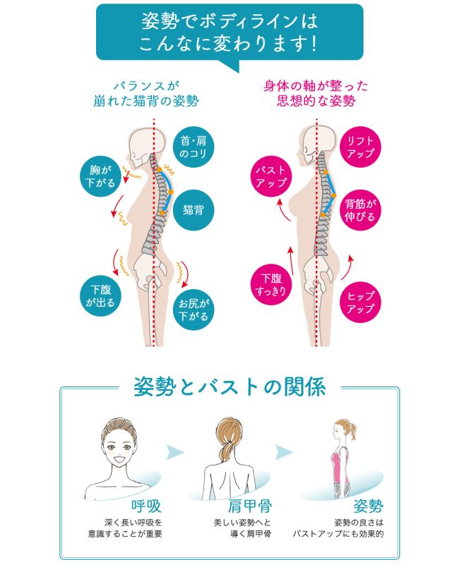 バストアップシェイパー 姿勢コンシャスv1 ねこ背 矯正 姿勢 補正インナー ボディシェイパー ボディスーツ Teq01の通販はau Pay マーケット アップスインナーブティック