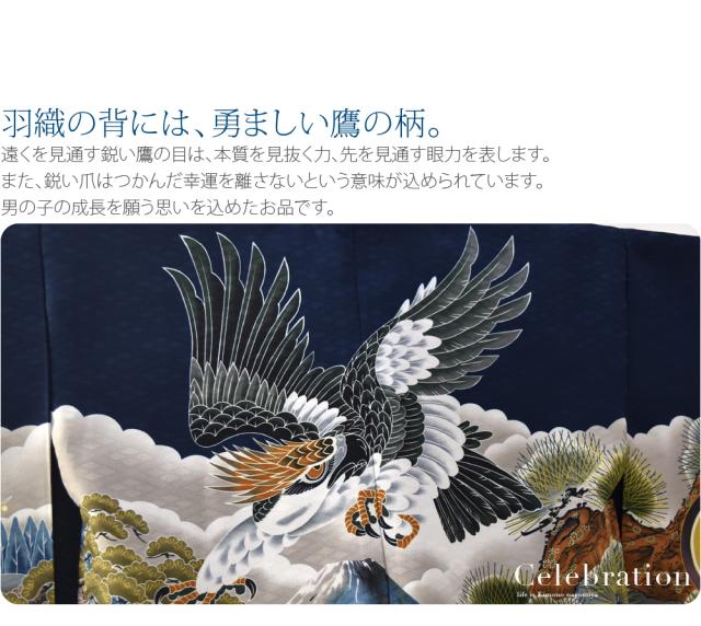 七五三 着物 男の子 5歳 袷用 アンサンブル10点セット 鷹に富士 金襴袴