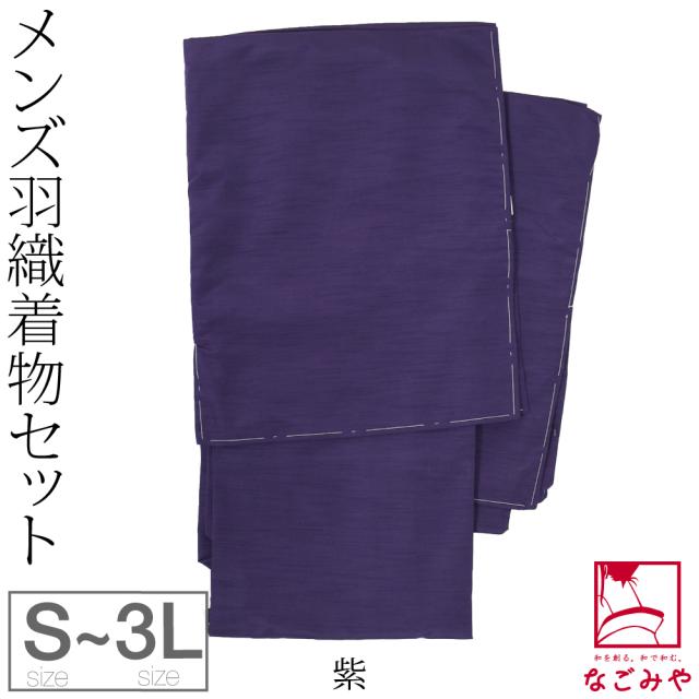 洗える着物 セット 袷用 男物 アンサンブル 色無地プレタ 長着 羽織