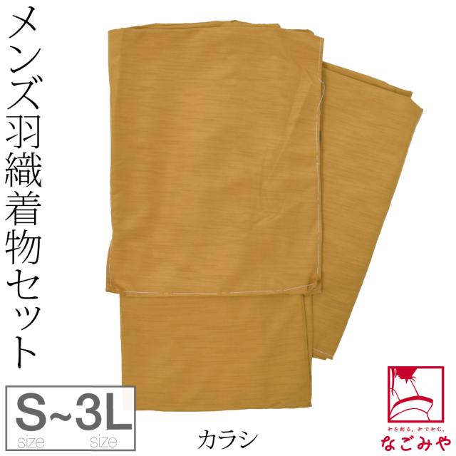 洗える着物 セット 袷用 男物 アンサンブル 色無地プレタ 長着 羽織