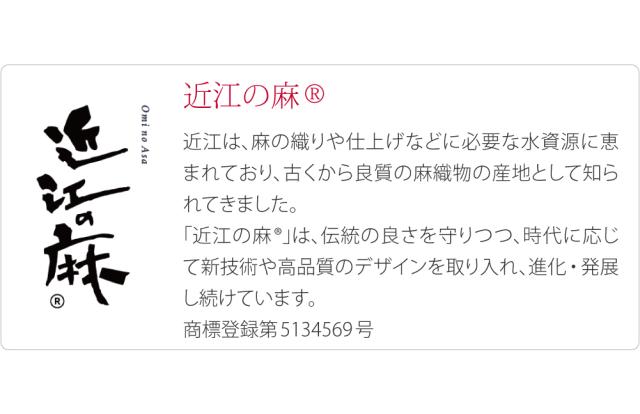 着物 日傘 専用 通年用 近江麻 長傘 暑さ 熱中症 日焼け 紫外線 対策 洋装 和装 おしゃれ 大人 女性 男性 10024169_6