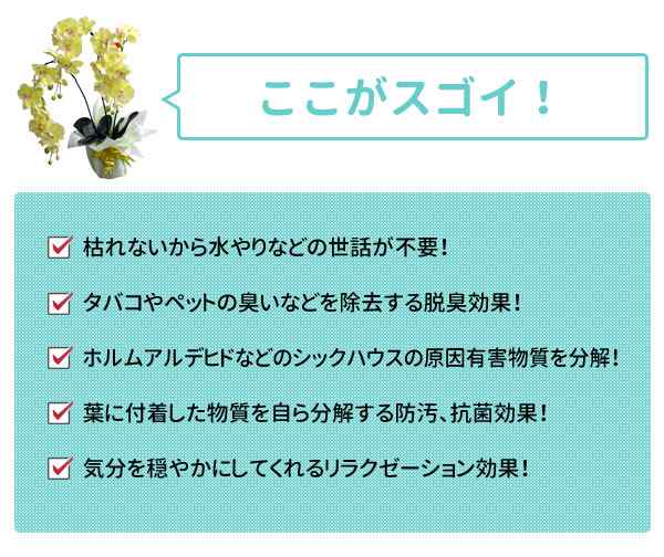 大切な方への贈り物 光触媒胡蝶蘭3本立 クリスマス プレゼント ギフト 花 父の日 母の日 こちょうらん お祝い 御祝の通販はau Pay マーケット 生活館livinza