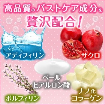 シークレットレディ ティティプルの通販はau Pay マーケット Pisuke