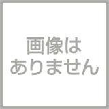 エヴァンゲリヲン 新劇場版《レンタル落ち／ケース無し》全3巻[DVDセット]【中古】