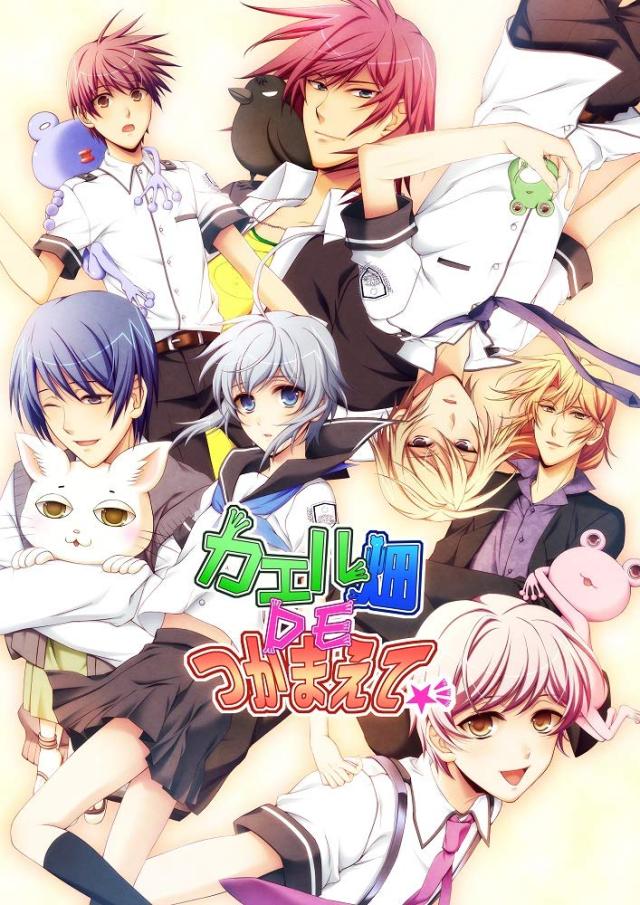 カエル畑DEつかまえて☆彡  Switch【中古】の通販は 9,996円