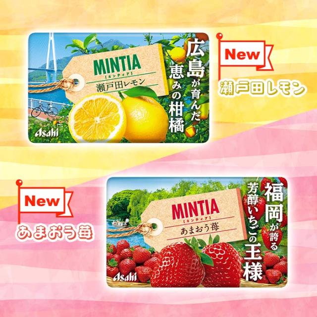 アサヒ ミンティア 50粒(MINTIA) 10個単位で選んで合計100個セット