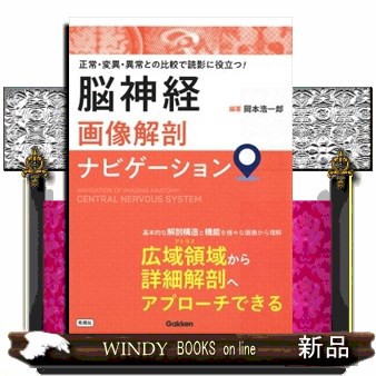 アイルランド・ゲール語辞典(未使用 未開封の中古品)