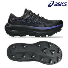 アシックス ウィンターランニングシューズ フジセツ マックス GTX　FUJISETSU MAX GTX　1011C115-001_1