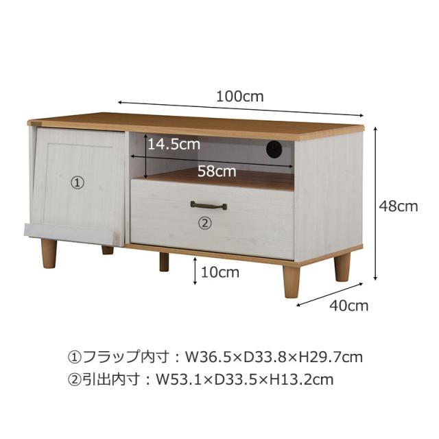 BILY バイリー ローボード 幅100cm (テレビ台 テレビボード