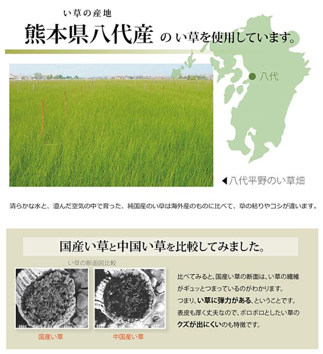 不知火 本間10畳 477×382cm　(ラグマット ラグ カーペット 角型 畳 和 和室 グリーン 緑 国産 い草 市松柄 高級感 和モダン 日本製 熊本 おしゃれ おすすめ)_5