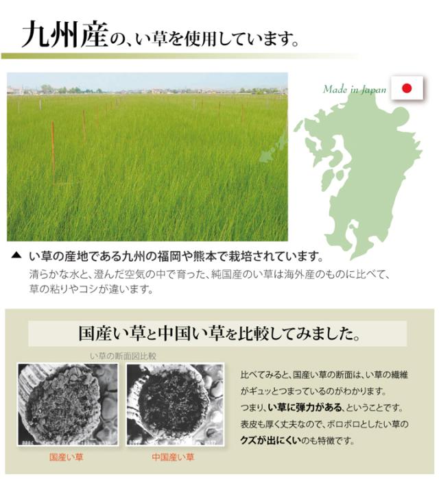 松 六一間8畳 370×370cm　(ラグマット ラグ カーペット 角型 畳 和 和室 グリーン 緑 国産 い草 高級感 和モダン 日本製 九州 おしゃれ おすすめ 双目織 軽量 手軽 両面 抗菌 防臭)_5