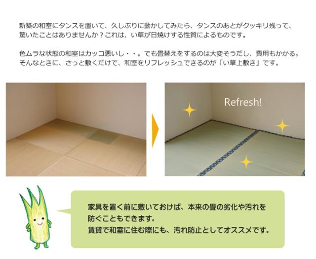 ほほえみ 本間6畳 286×382cm　(ラグマット ラグ カーペット 角型 畳 和 和室 グリーン 緑 国産 い草 高級感 和モダン 日本製 九州 おしゃれ おすすめ 双目織 軽量 手軽 両面 抗菌 防臭)_3