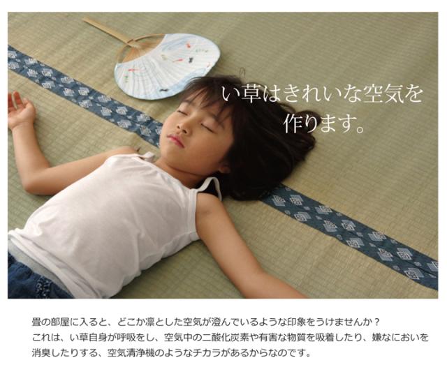 ほほえみ 三六間8畳 364×364cm　(ラグマット ラグ カーペット 角型 畳 和 和室 グリーン 緑 国産 い草 高級感 和モダン 日本製 九州 おしゃれ おすすめ 双目織 軽量 手軽 両面 抗菌 防臭)_9