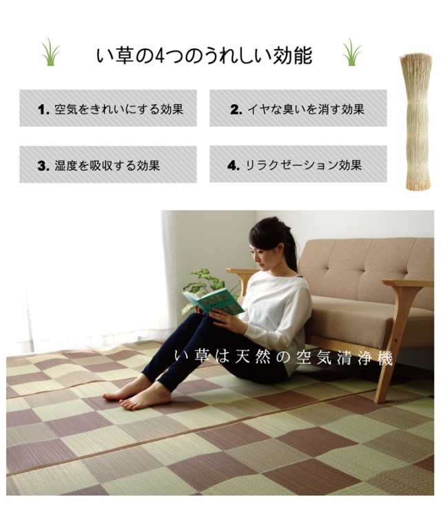 Fブロック 江戸間6畳 261×352cm (ラグマット ラグ カーペット 角 Fブロック 江戸間6畳 261×352cm (ラグマット ラグ カーペット 角