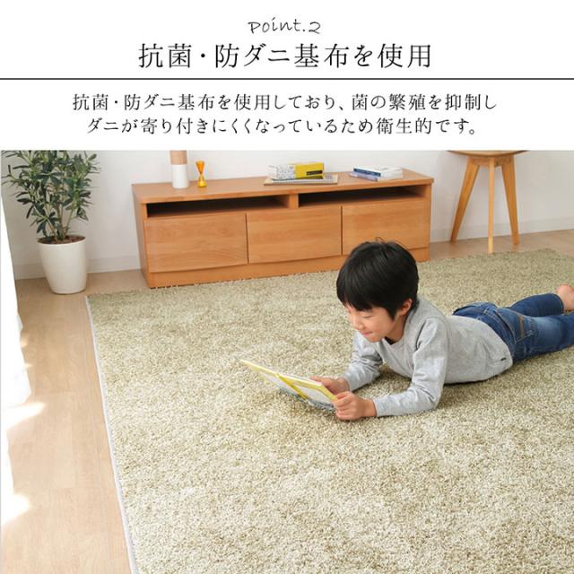 【受注生産品】TAFT タフト オーダーカーペット サンティエ 200x300cm　(ラグ カーペット マット 日本製 国産 ナイロン 耐摩耗 速乾性 遊び毛防止 抗菌 防臭 オールシーズン 防炎 裏面 不織布 アレルキャッチャー おしゃれ おすすめ)_3