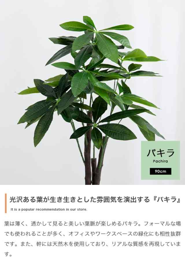 光触媒 人工観葉植物 パキラ13060ドライフラワー - 置物