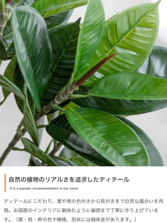 光触媒 人工観葉植物 パキラ13060ドライフラワー - 置物