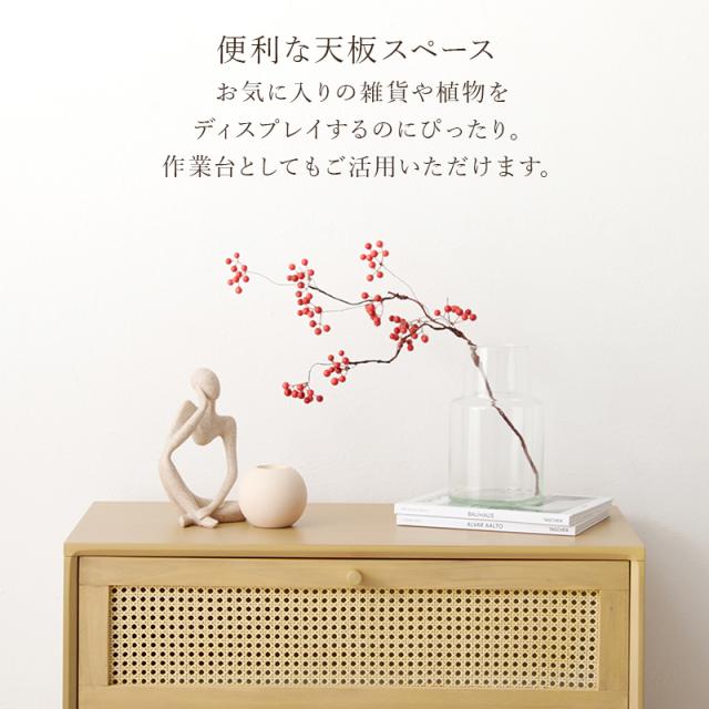Ratten Chestチェスト 幅80cm_10