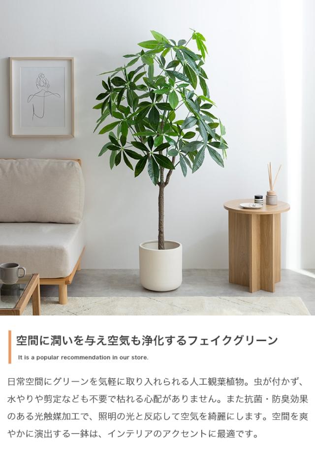 Nature 光触媒人工観葉植物 パキラ 高さ150cm_1