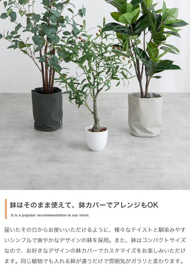 Nature 光触媒人工観葉植物 パキラ 高さ150cm_6