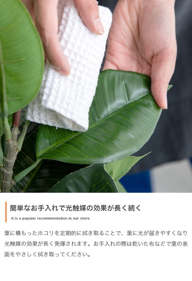 Nature 光触媒人工観葉植物 パキラ 高さ150cm_7