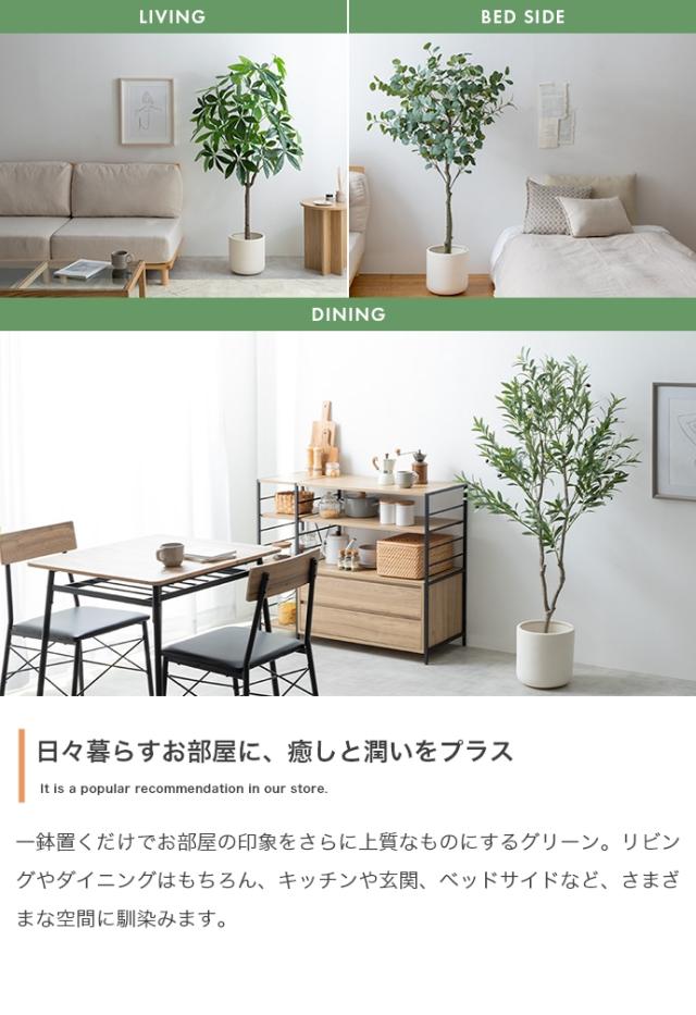 Nature 光触媒人工観葉植物 パキラ 高さ150cm_8