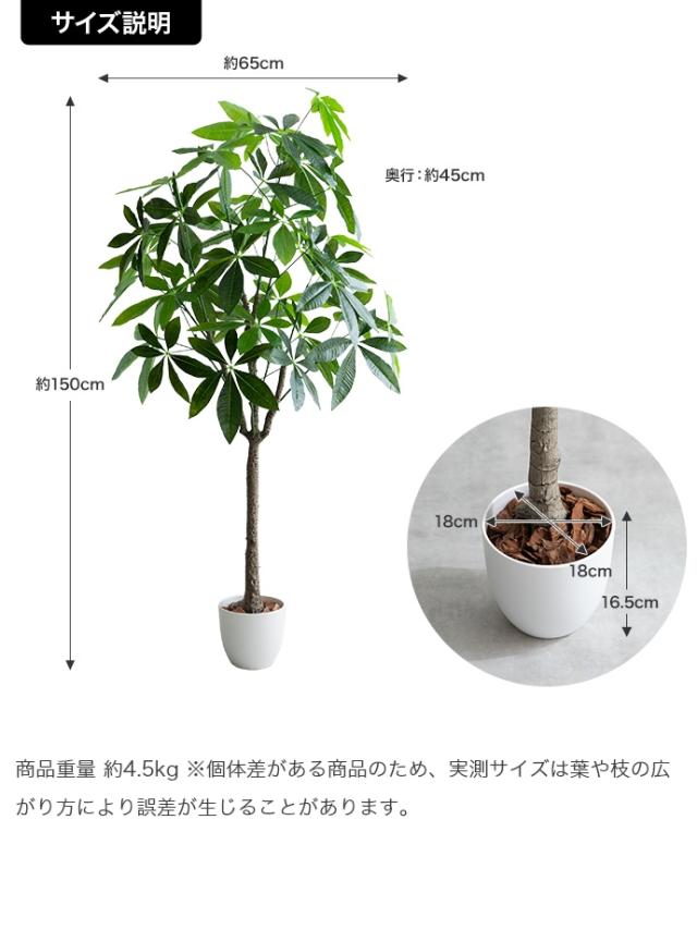 Nature 光触媒人工観葉植物 パキラ 高さ150cm_9