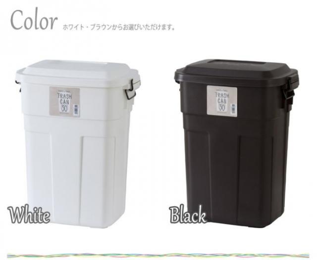 ストロベリー様 ダストボックス 30L アメリカン お洒落ゴミ箱 分別