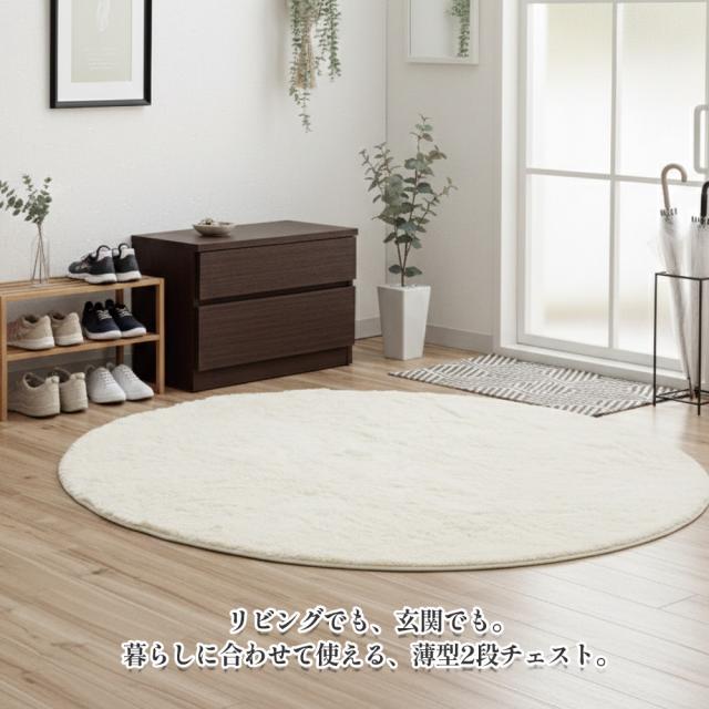 薄型チェスト 2段 | 幅60cm 奥行30cm 玄関ベンチ 玄関収納 60cm 【 薄型 チェスト スリム 収納 棚 引き出し 引出し 箪笥 タンス ストッパー付き 椅子 ベンチ 玄関 階段 クローゼット リビング テレビ台 テレビボード 大川家具 日本製 木製
