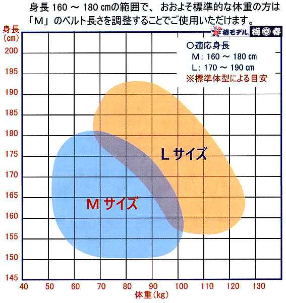 ハーネス・Y型クッションセット】 標準Mサイズ Y型 フルハーネス 椿モデル HYF2 ネイビー新規格 墜落制止用器具の通販はau PAY マーケット  梅春いちや au PAY マーケット－通販サイト