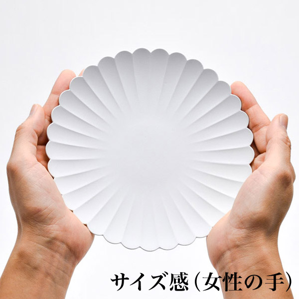「送料無料」 TY Palace(パレス) 160mm＆220mm 各2枚（4枚セット） 化粧箱入り 「即日発送対応」 ( 1616 / arita japan TY )