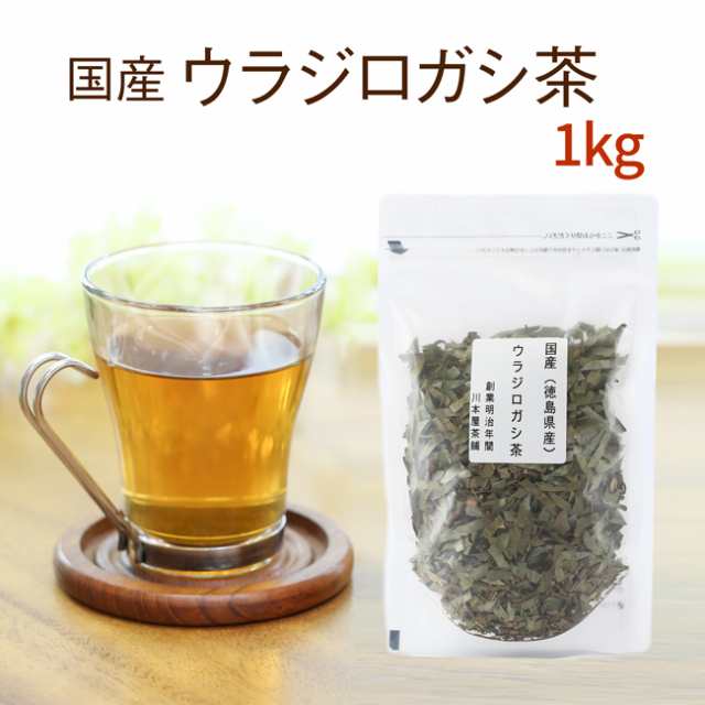 ウラジロガシ茶 1kg お徳用 送料無料 業務用 会社用 お徳用 職場用の通販はau Pay マーケット 創業明治年間 お茶とギフトの川本屋