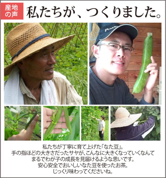 なたまめ茶 30p でペットボトル60本分 口内美容 健康維持に 国産 無農薬栽培白なた豆使用 国産 なた豆茶 ナタマメ茶 送料の通販はau Pay マーケット 創業明治年間 お茶とギフトの川本屋