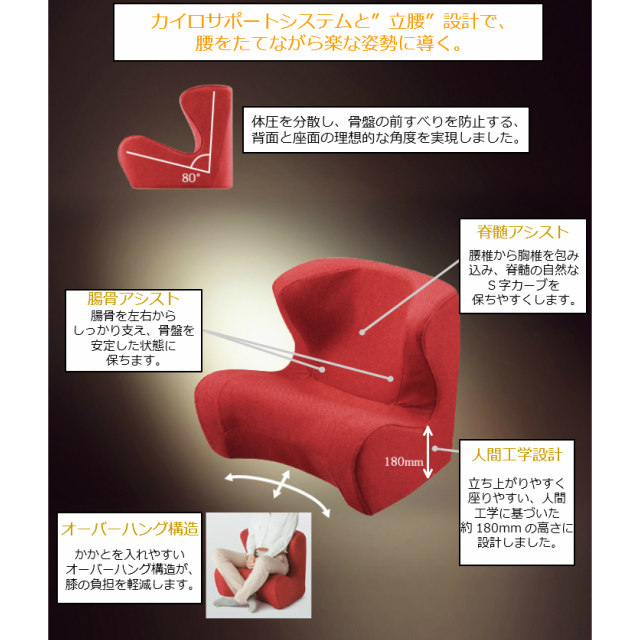 【送料無料】MTG　スタイルドクターチェア　Style DR.CHAIR　【MTG正規品】メーカー１年保証書付　自分へのご褒美に　限定特価_3