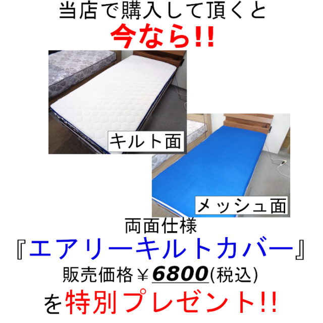 トゥルースリーパー プレミアリッチS　シングル特別サービス3点セット　豪華版専用カバー＆丸洗い頸椎枕付き　メーカー直仕入品新品　抗菌　防カビ　防ダニ　低反発マットレス 　【True Sleeper】【送料無料】【正規品】最新型ショップジャパン・マットレス_5